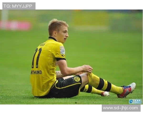 卡通足球明星罗伊斯的精彩瞬间与梦想之旅 卡通足球明星罗伊斯的精彩瞬间与梦想之旅